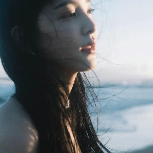 轻微盗窃案