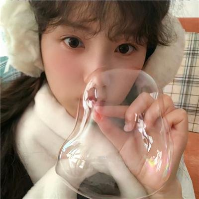 玉米上的麻雀